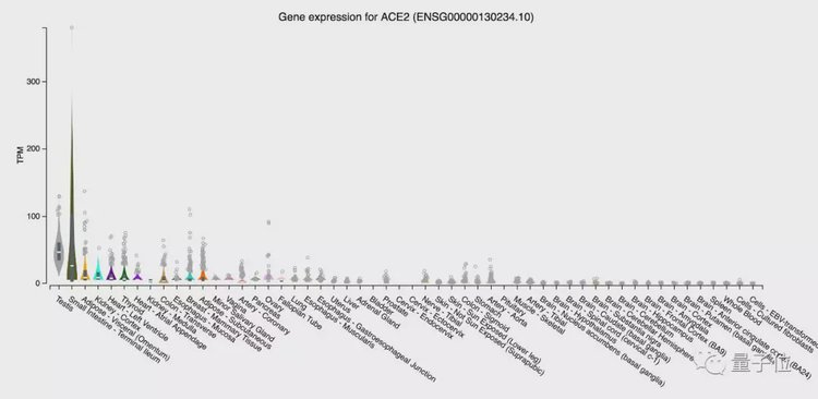 bb054b498a64306c48cc1175b8b88321.jpeg bb054b498a64306c48cc1175b8b88321.jpeg