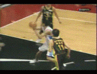 20040408_1vincecarter5_111502.gif