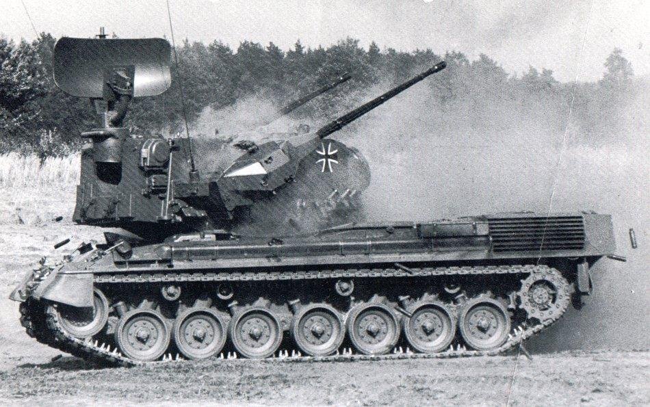bw-gepard_57.jpg